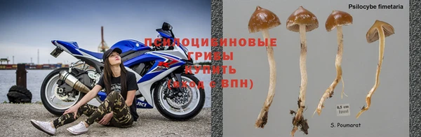 apvp Алексеевка