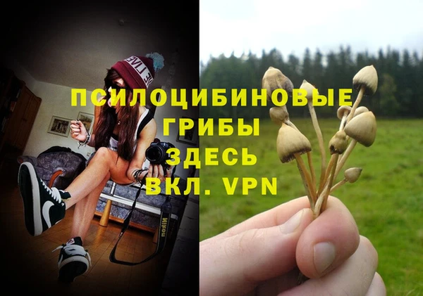 соль курить ск Алексин