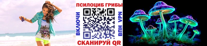 Псилоцибиновые грибы прущие грибы  площадка как зайти  Бердск 
